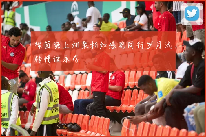 绿茵场上相聚相知感恩同行岁月流转情谊永存
